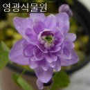 홍가시카페(cafe) 이미지