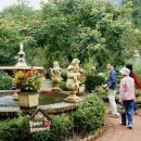 허브나라농원 이미지