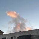 웨스트코스트트레이닝 | 제주도 크로스핏? 여기가 국룰이죠.. <웨스트코스트 트레이닝> 드랍인 후기