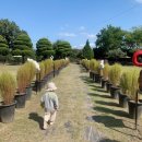 현이목장 이미지