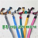 고리 | 분독 리드줄의 P고리를 카라비너로 수선해보자, 안전제일주의자의 고리AS후기