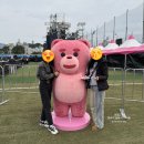 공설운동장 게이트볼장 | 진해군항제 콘서트 공연 후기 체리블라썸뮤직페스티벌 초대가수 박정현 YB 정승환 등