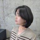 포코헤어 이미지