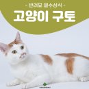 미사동물병원 이미지