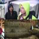 재경목장 이미지