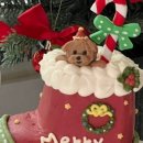 투테일스 이미지