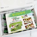 아리아리떡사랑 이미지