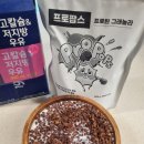 (유튜버 채찍단 추천) 프로팝스 후기