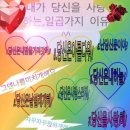 수연네일 네이버블로그