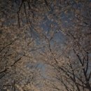 산업로92번길 이미지