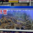 탐나전복