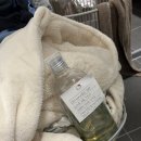 청소연구소 가사도우미 서비스 내돈내산 후기 - 최대3만5천원 가격 할인 꿀팁 정리