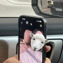 경민세차장 이미지