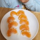 대진농장 이미지