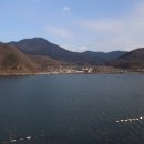 스완흑염소 이미지