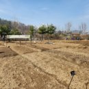 서림동-9 이미지