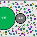 새하늘 - 3131 | 새하늘