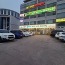 독도볼태기 이미지