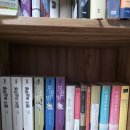 솔로몬행정사 이미지