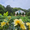 노을이슬 이미지