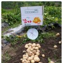 당산농장 이미지