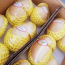 다올농산 - 용인시 처인구 석성로 879-10 | 다올농산