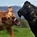 가족오락관 이미지