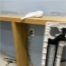 청소전문가