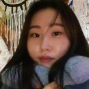 신사콜렉션