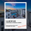 소노베스트 | [신규오픈호텔] 소노벨 경주 감포 (SONO Belle GYEONGJU GAMPO) #경주호텔 #경북호텔 #소노 #2026년...