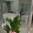 태평역 동물병원 이미지