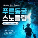 일본 오키나와 현지업체 푸른동굴 스노클링 후기 | 블루오션 예약방법 가격 총정리