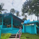 씻기도 | 푸켓 메리어트 멀린 빠통 엘리펀트 케어 체험 후기