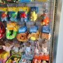 털로덮인 친구들 커먼그라운드점 이미지