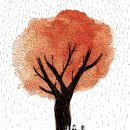 어부사시사(적) 이미지