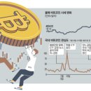 코인홀덤