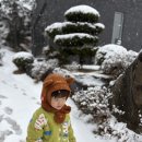 힐리야 | 강릉여행 10명이상 대가족이용가능한 독채풀빌라 <강릉 힐리야펜션 >