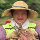 혜성전자 이미지