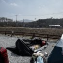 미즈캠 처음 도전한 초보 캠퍼 후기 | 아들이랑 엄마 혼자서 캠핑 성공했어요!
