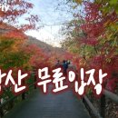 내장산 서래봉 이미지