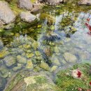 에이티20(AT20) | 골프장 방문객 경험 향상: 깨끗한 물이 만드는 차별화