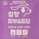 댕이의하루 이미지