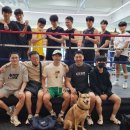 한남 권투 이미지