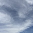 (주)씨아인 | 푸드축제에 김희재 보러온 이모에게 익산 한식 맛집 씨아전복 의 맛을 보여준 후기 카페 링크도 갔습니다