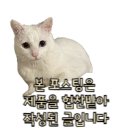 칫솔추천 치과칫솔 칫솔후기 휘바덴트 칫솔