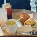 응암애견 이미지