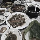 수승대임정은가든 이미지