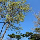 송'S 갤러리 외전 (Photo by 송강 편) 이미지