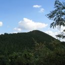 동국대부속유치원 이미지