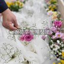 후불제상조 이미지